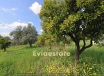 Photo 289788223