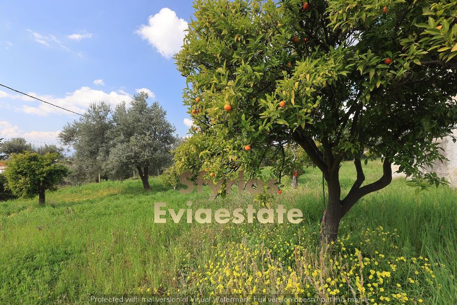 Photo 289788223