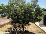Photo 289951342