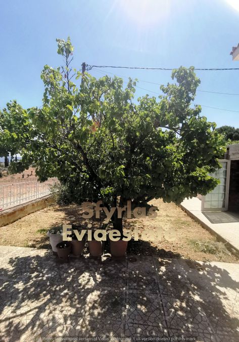 Photo 289951342