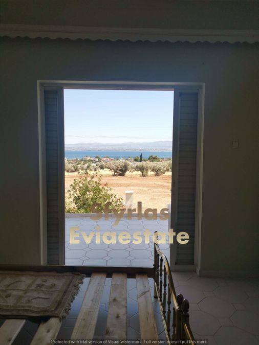 Photo 289951351
