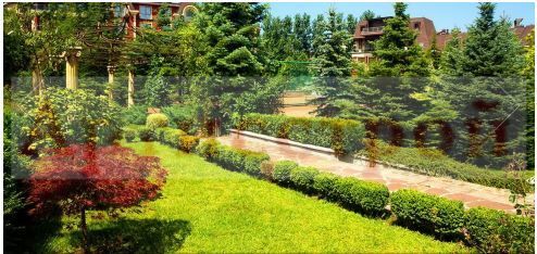 Снимка 290031808