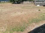Photo 290579614