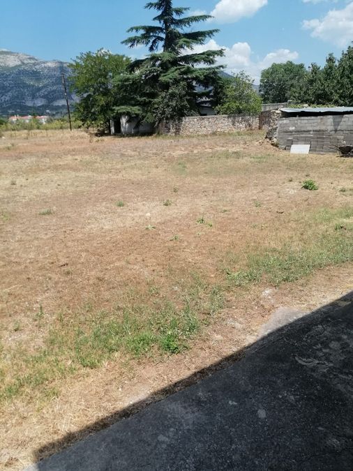 Photo 290579614