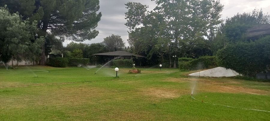 Photo 290616229