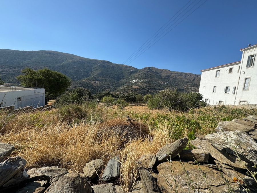 Photo 291453679