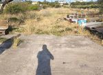 Photo 291455380