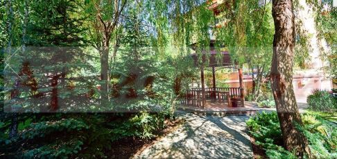 Снимка 293068978