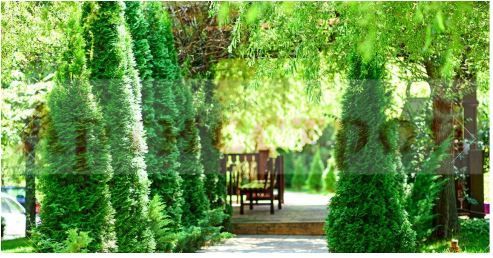 Снимка 293714689