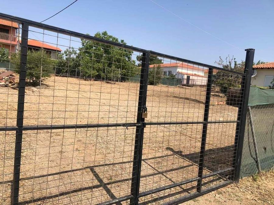 Снимка 294433639