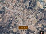 Fotografija 294433651