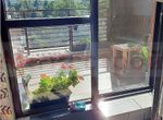 Photo 294499960