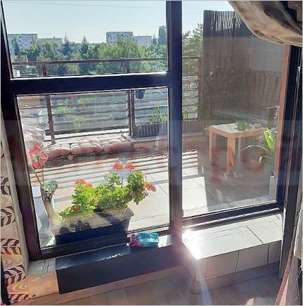 Снимка 294499960