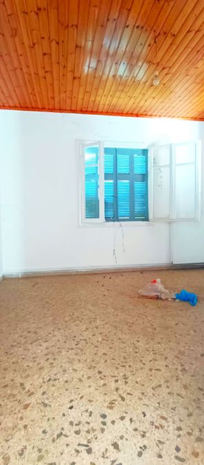 Photo 294875764
