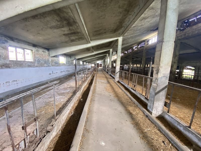 Снимка 294914338