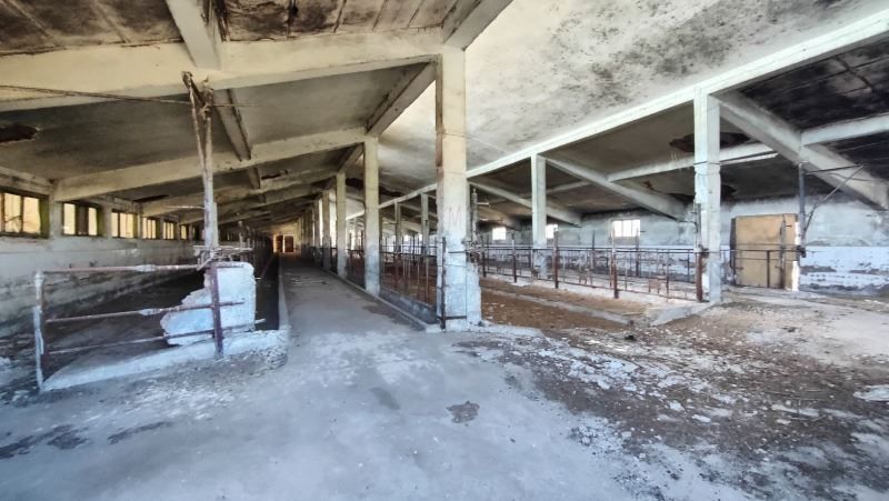 Снимка 294914344