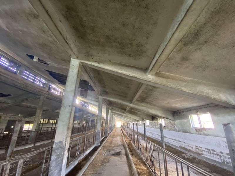 Снимка 294914347