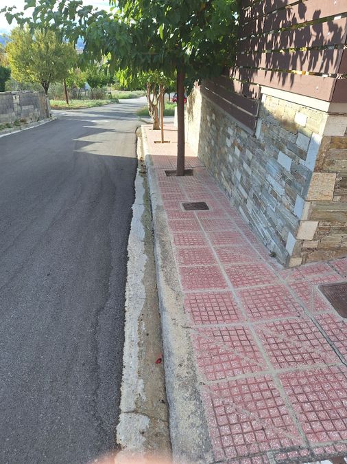 Photo 295287691