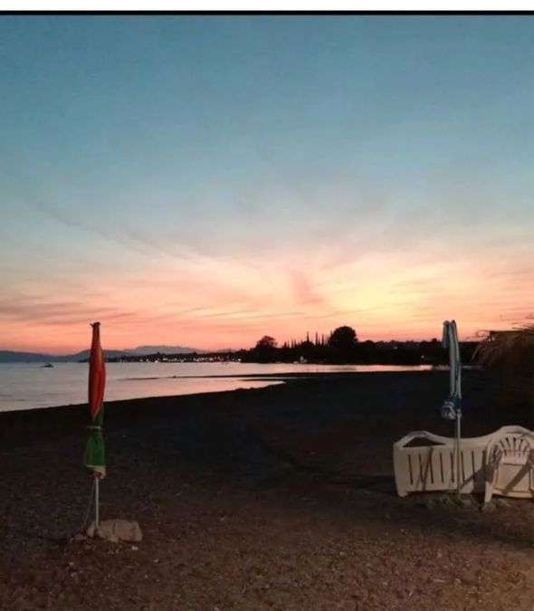 Photo 295818889
