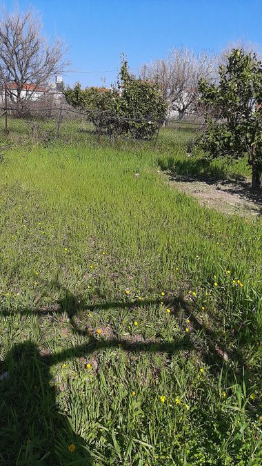 Photo 296540056