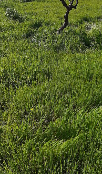 Photo 296540074