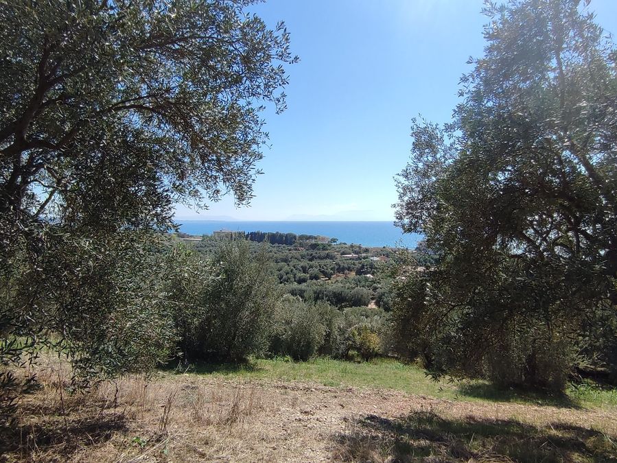 Photo 296587315