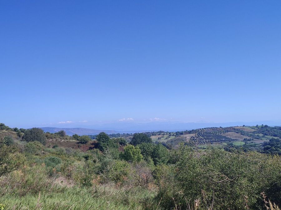 Photo 297294145