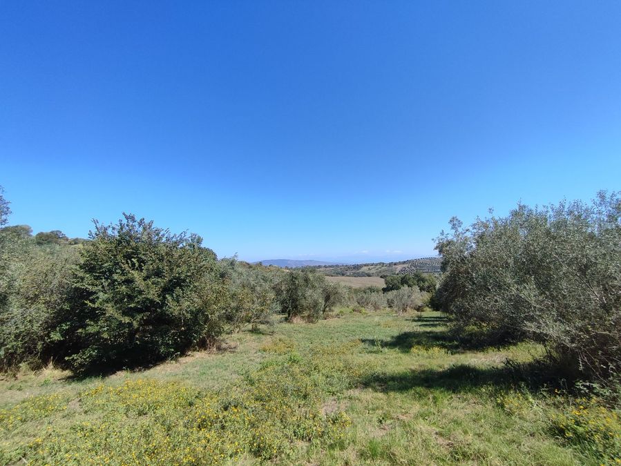 Photo 297294205