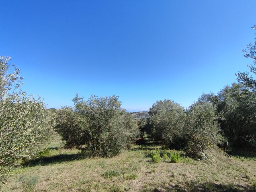 Photo 297294208