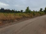 Photo 297407665