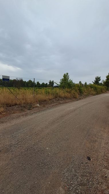 Photo 297407665
