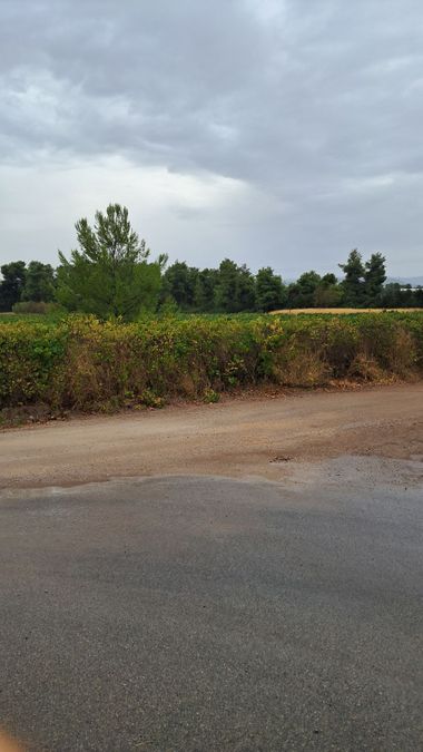 Photo 297407743