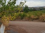 Photo 297407830