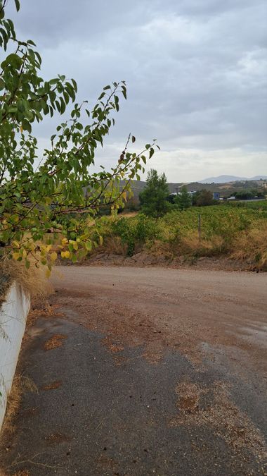 Photo 297407830
