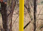 Photo 297409867