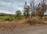 Photo 297409873