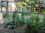 Photo 297706786