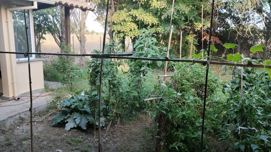 Photo 297706786