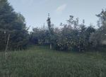 Photo 297706810