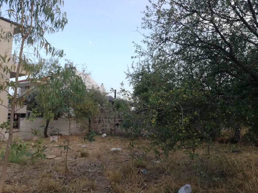 Photo 297812479