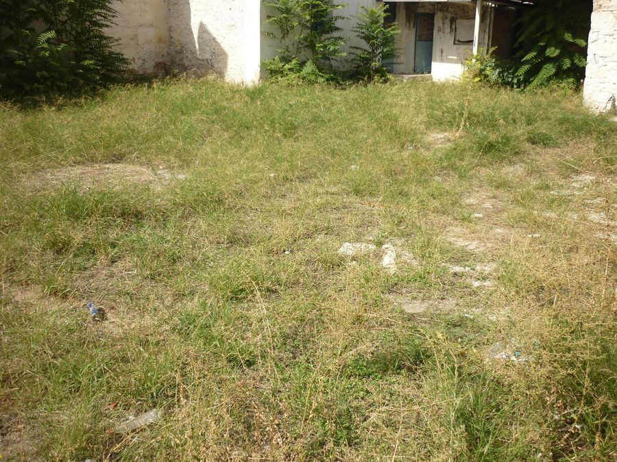 Photo 298498867