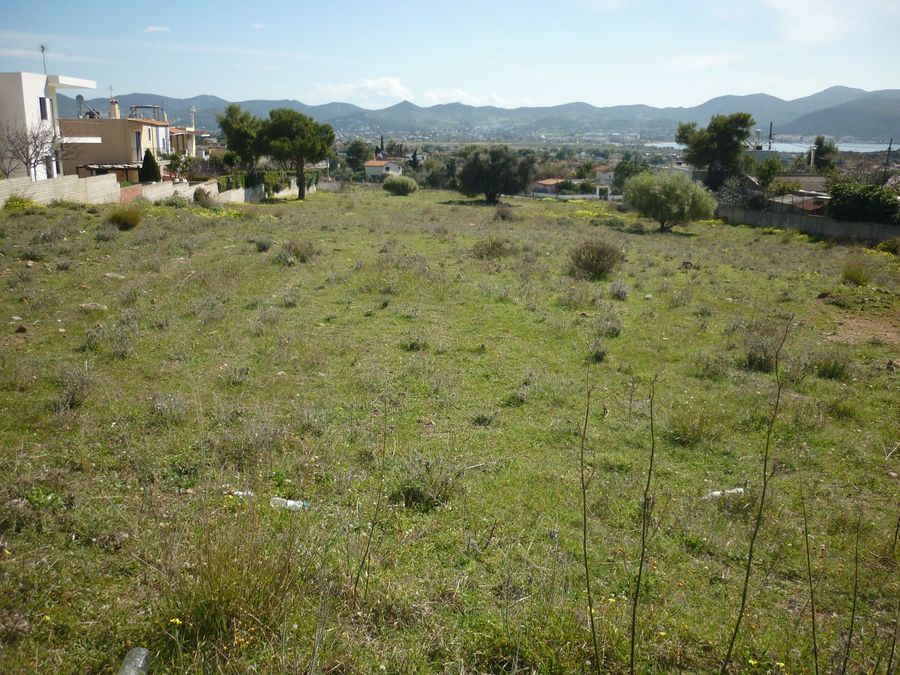 Photo 298870576