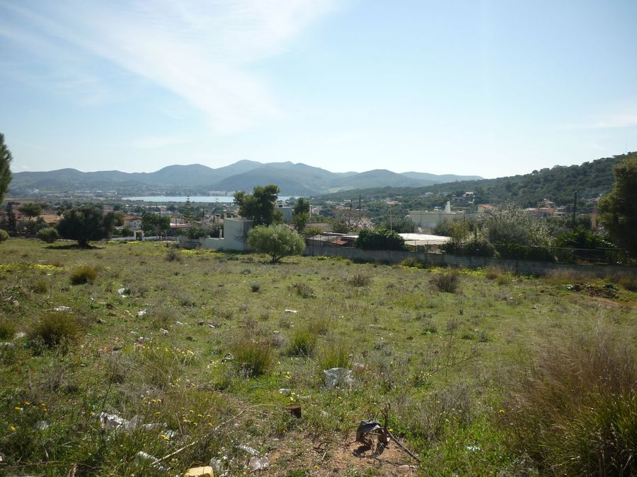 Photo 298870579