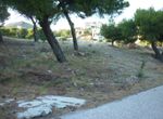 Photo 299027824