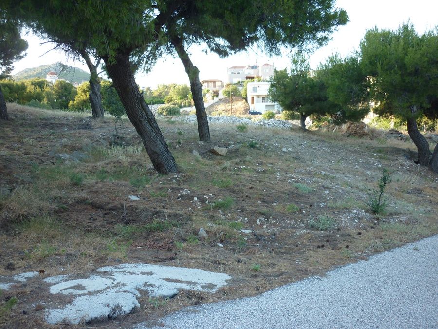 Photo 299027824