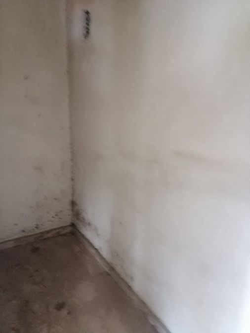 Photo 299276713