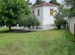 Μονοκατοικία προς πώληση Μελενικίτσι (Σκοτούσσα) 120 τ.μ. Ισόγειο 3 Υπνοδωμάτια