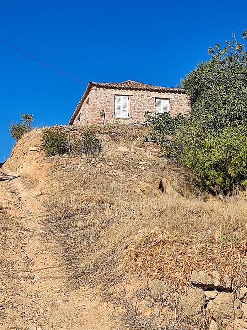 Photo 299419345