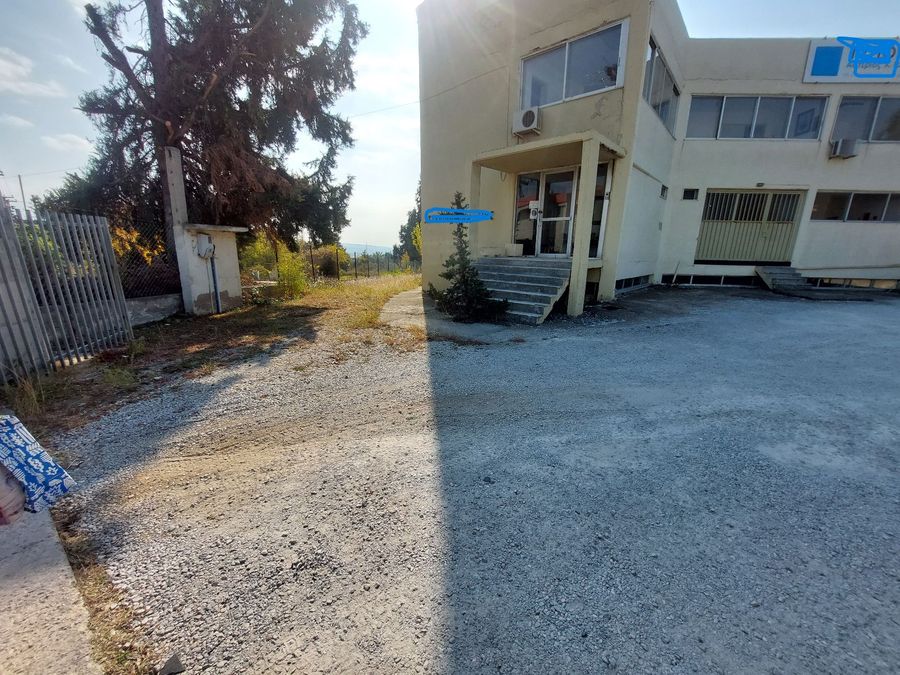 Photo 300060832