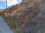 Photo 300230620